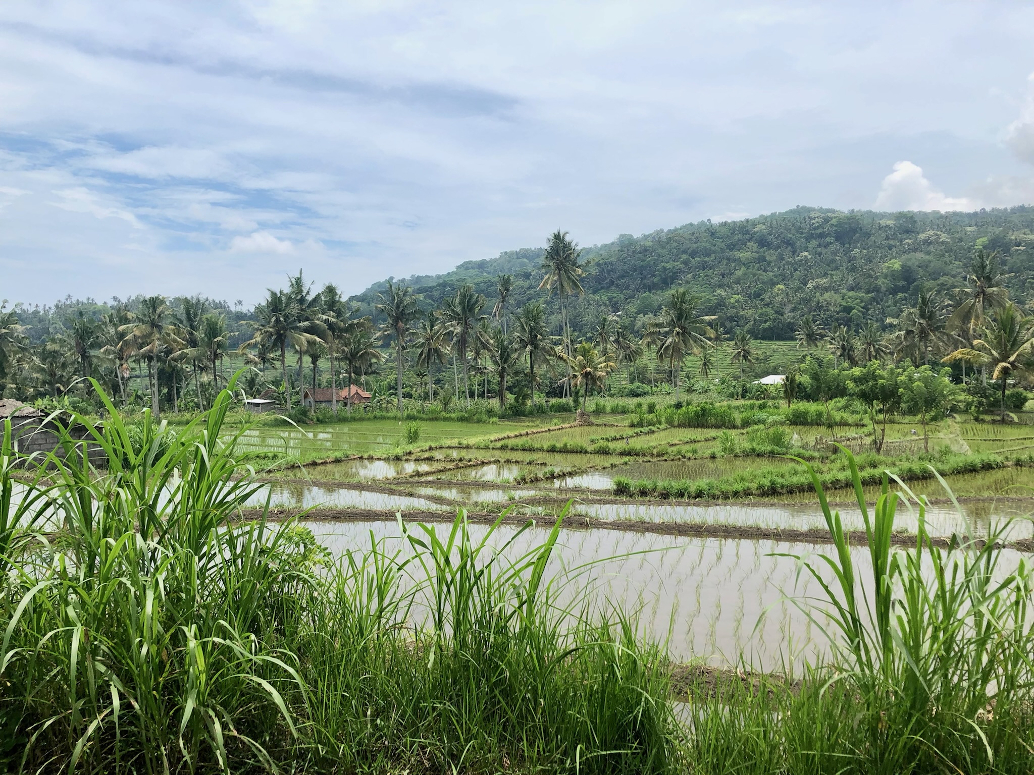 Balians Part II -Traditional Healers and Bali Culture – Temples ...